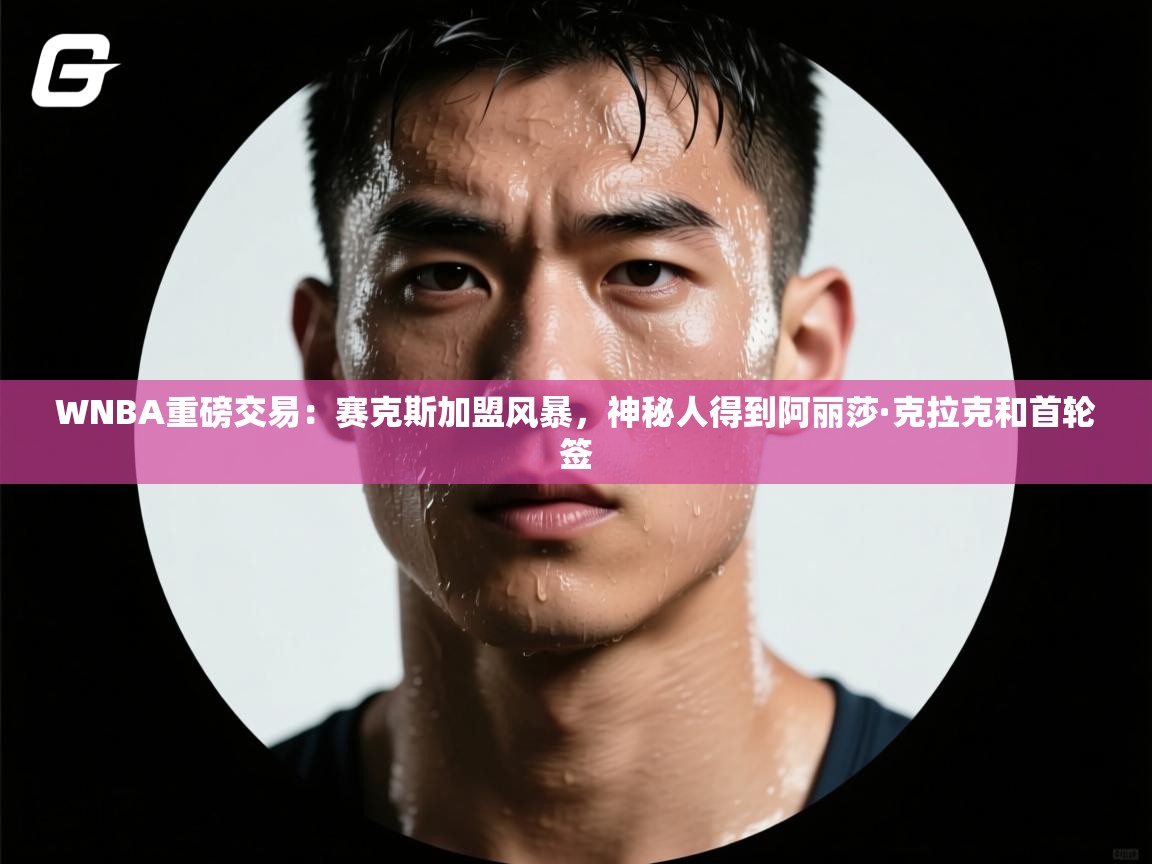 WNBA重磅交易：赛克斯加盟风暴，神秘人得到阿丽莎·克拉克和首轮签  第2张