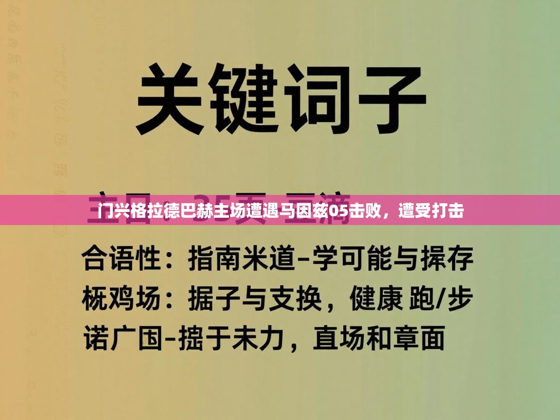 门兴格拉德巴赫主场遭遇马因兹05击败，遭受打击  第1张
