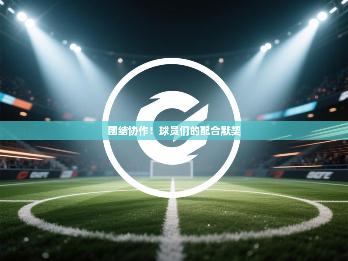 团结协作!球员们的配合默契 第2张