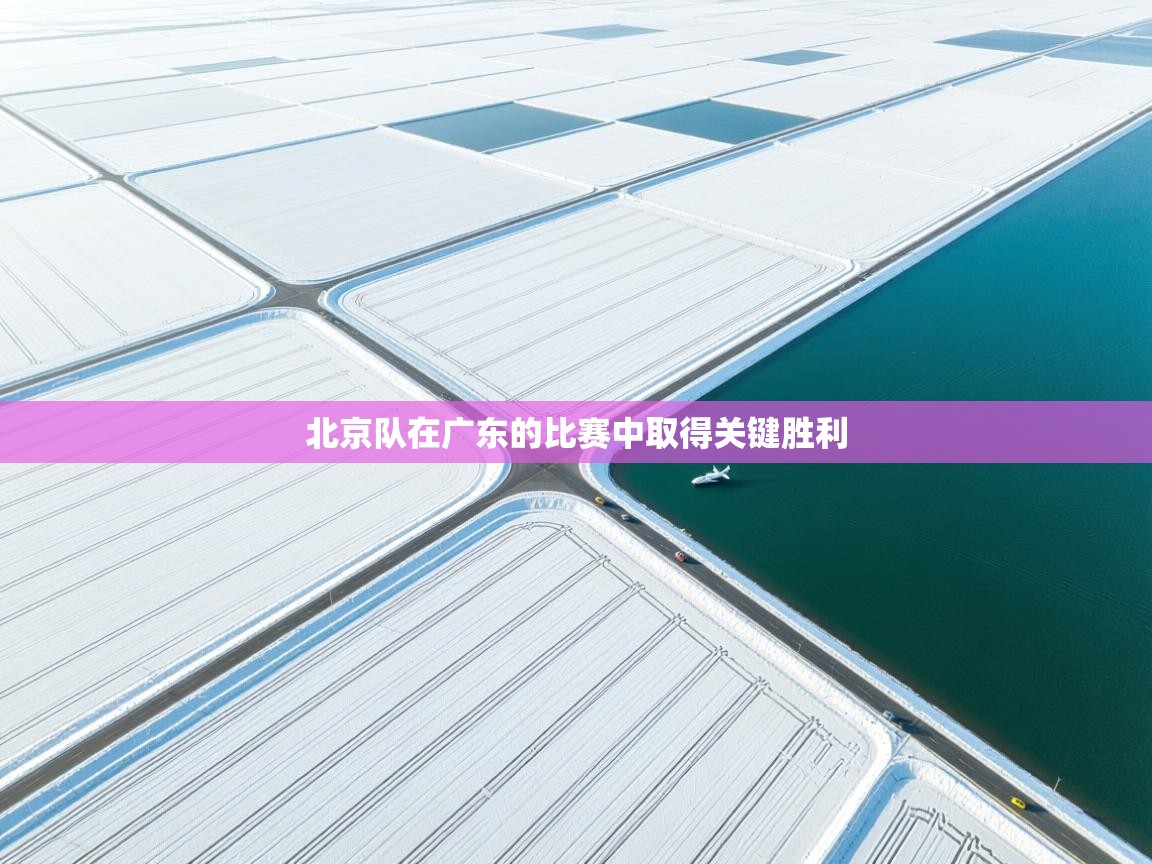 北京队在广东的比赛中取得关键胜利