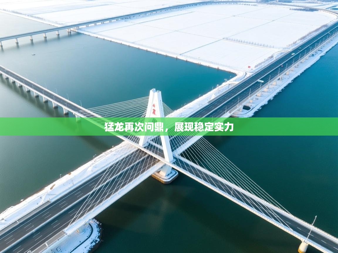 猛龙再次问鼎，展现稳定实力